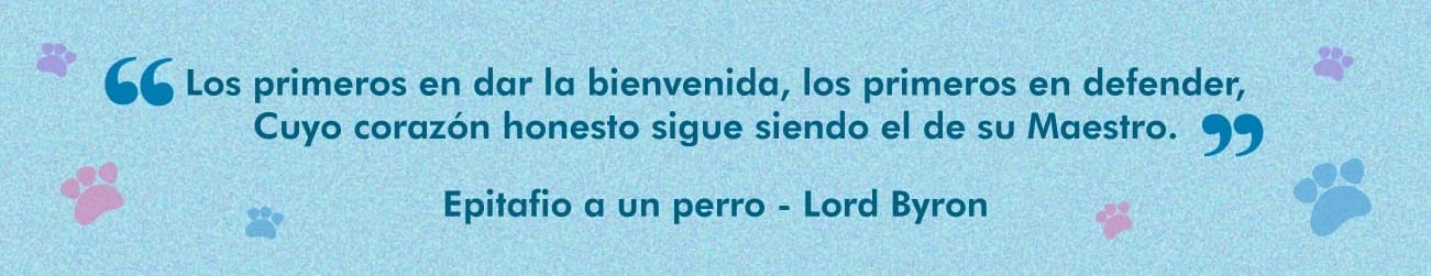 Feliz día Lomitos